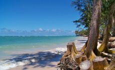 free-photo-hawaii-beach